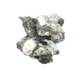 10g Castro Concrete Gay Pride Relic from Sidewalk of Harvey Milk Camera Shop (5699)