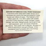 DVH 1.8oz American Shungite Bituminous Coal Heart Fossil Fuel Climate Grief Healing Crystal (5623)