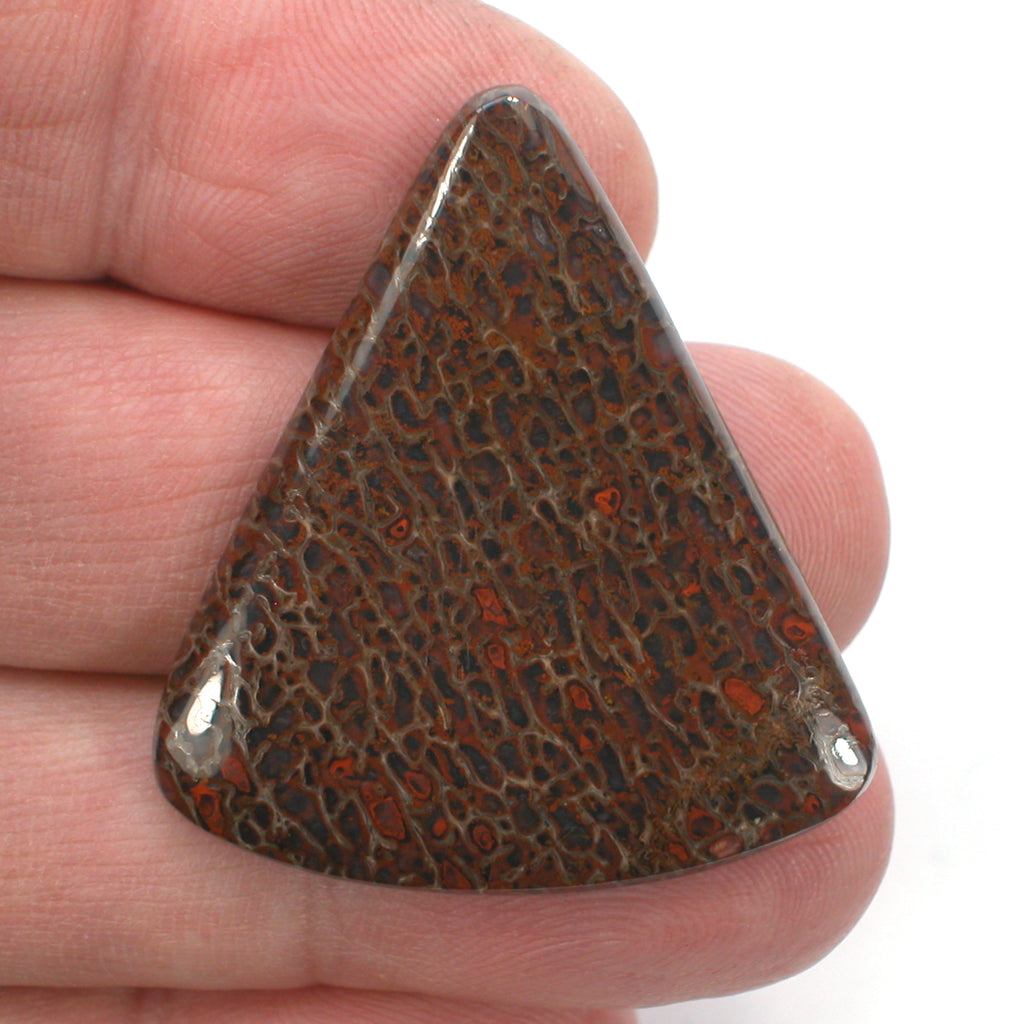 DVH Dinosaur Bone Cabochon Fossil Dino Cab 39x35x5mm (5509)