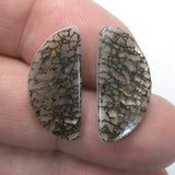 DVH Gem Dinosaur Bone Biopsy Mother of Pearl Doublet Cabochon Pair 25x12x3mm (5426)