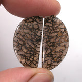 DVH Gem Dinosaur Bone Biopsy Mother of Pearl Doublet Cabochon Pair 25x12x3mm (5426)