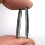 DVH Gem Dinosaur Bone Biopsy Mother of Pearl Doublet Cabochon Pair 25x12x3mm (5426)