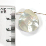 DVH Gem Dinosaur Bone Biopsy Mother of Pearl Doublet Bead 21x19x6mm (5429)