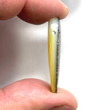 DVH Gem Dinosaur Bone Biopsy Mother of Pearl Doublet Bead 35x17x6mm (5913)