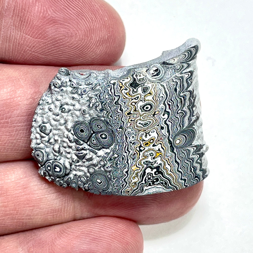 DVH Ford F150 Dragonscale Fordite Specimen Polished Face Rough KC Assembly (5982)
