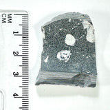 DVH Ford F150 Dragonscale Fordite Specimen Polished Face Rough KC Assembly (5982)