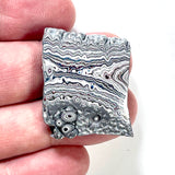 DVH Ford F150 Dragonscale Fordite Specimen Polished Face Rough KC Assembly (5984)