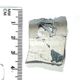 DVH Ford F150 Dragonscale Fordite Specimen Polished Face Rough KC Assembly (5984)