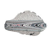 DVH Ford F150 Dragonscale Fordite Specimen Polished Face Rough KC Assembly (5986)