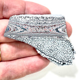 DVH Ford F150 Dragonscale Fordite Specimen Polished Face Rough KC Assembly (5987)