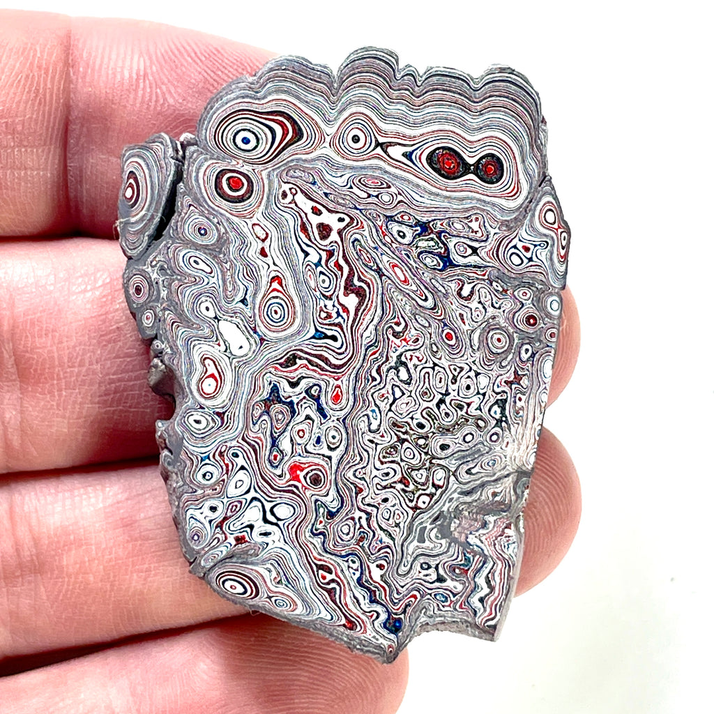 DVH Ford F150 Dragonscale Fordite Specimen Polished Face Rough KC Assembly (5990)