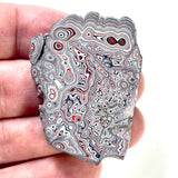 DVH Ford F150 Dragonscale Fordite Specimen Polished Face Rough KC Assembly (5990)