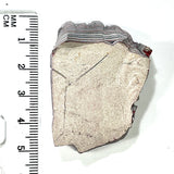 DVH Ford F150 Dragonscale Fordite Specimen Polished Face Rough KC Assembly (5990)