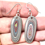 DVH Genuine Corvette Fordite Earrings Sterling French Wires 36x15x4mm (6020)