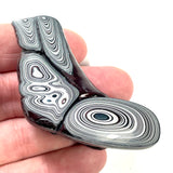 DVH Genuine Michigan Fordite Specimen Polished Face Rough MOPAR (6000)