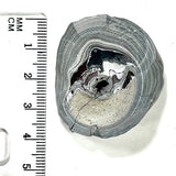 DVH Genuine Michigan Fordite Donut Specimen Polished Face Rough MOPAR (6001)