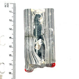 DVH Genuine Michigan Fordite Specimen Polished Face Rough MOPAR (6002)