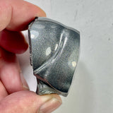 DVH Genuine Michigan Fordite Specimen Polished Face Rough MOPAR (6005)