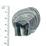DVH Genuine Michigan Fordite Specimen Polished Face Rough MOPAR (6005)