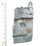DVH 2.8oz Michigan Fordite Specimen Polished Face Rough 3"x2" MOPAR (6006)