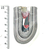 DVH Genuine Michigan Fordite Specimen Polished Face Rough MOPAR (5995)