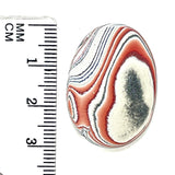 DVH Ford Focus C-MAX Fordite Cabocohon Cab Michigan Assembly 30x22x4mm (6014)