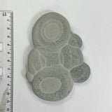 DVH Fairy Stone Goddess Rock Natural Concretion Quebec 104x66x12mm (5854)