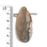 DVH Petrified Sycamore Wood Matte Bead Pendant Badger Pocket WA 49x23x10 (5252)
