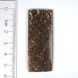 DVH Fossil Dinosaur Bone "Biopsy" Mother-of-Pearl Doublet Rectangle Cabochon 53x20x2 (8231) - DVHdesigns