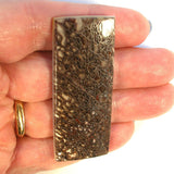 DVH Fossil Dinosaur Bone "Biopsy" Mother-of-Pearl Doublet Rectangle Cabochon 53x20x2 (8231) - DVHdesigns