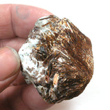 DVH 44g Astrophyllite Specimen for Wirewrap Druzy Fireworks Stone 45x38x17 (5007)