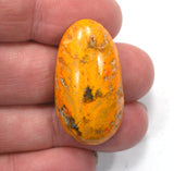 DVH Bumble Bee Jasper Calcite Cabochon 37x20x10 (4077)