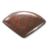 DVH Dinosaur Bone Cabochon Fossil Dino Cab 56x35x5 (4992)