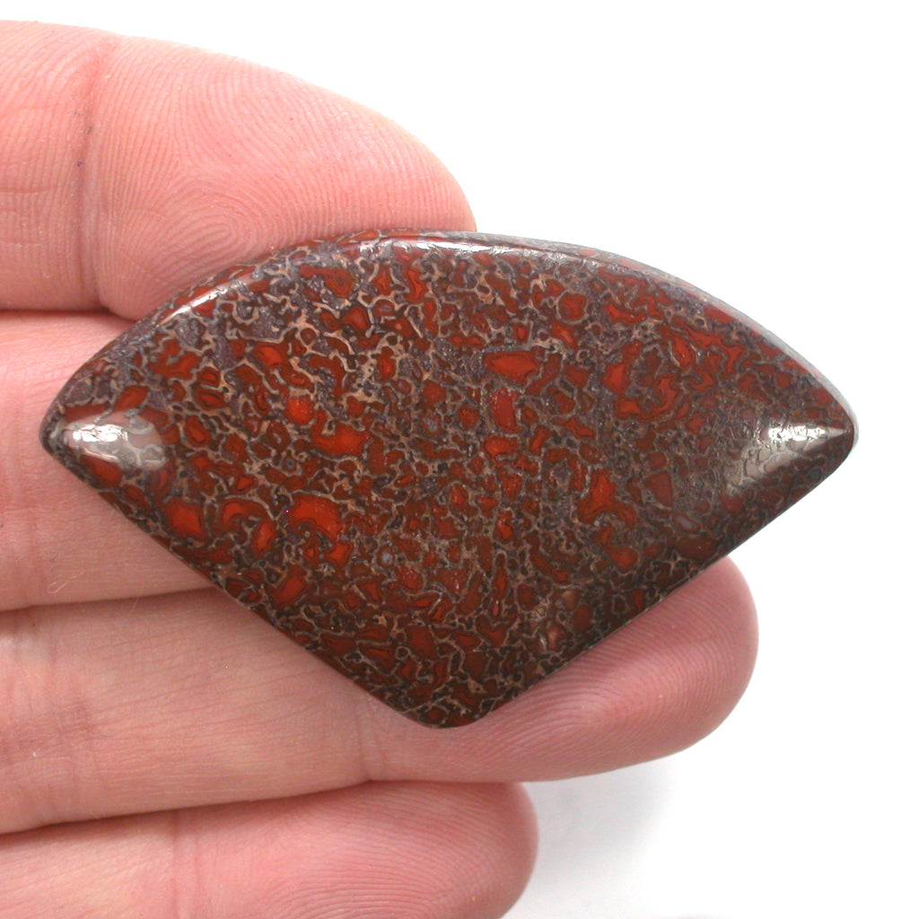 DVH Dinosaur Bone Cabochon Fossil Dino Cab 56x35x5 (4992)