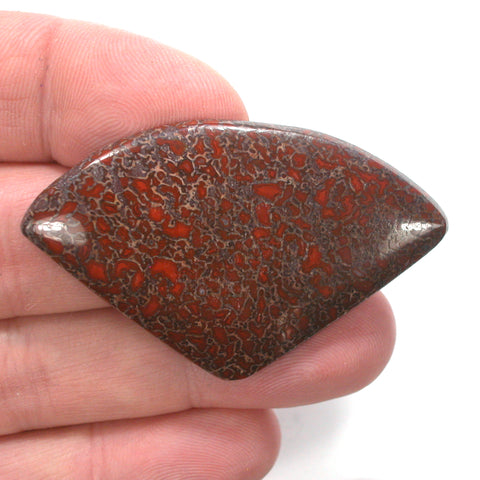 DVH Dinosaur Bone Cabochon Fossil Dino Cab 56x35x5 (4992)