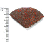 DVH Dinosaur Bone Cabochon Fossil Dino Cab 56x35x5 (4992)