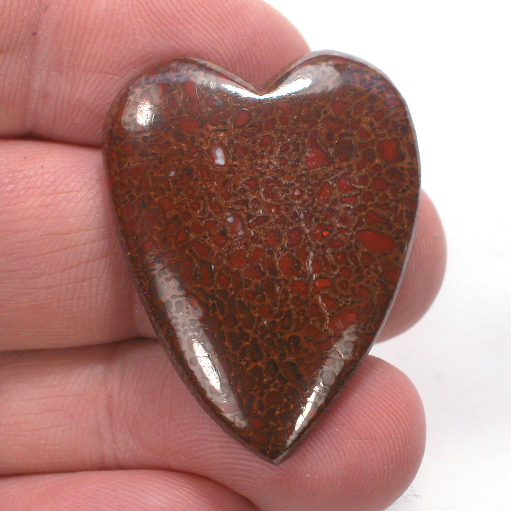 DVH Dinosaur Bone Heart Cabochon Fossil Dino Cab 37x28x5 (4994)