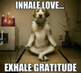 Compensation for SPIRITUAL LABOR & WOO WORK - DVHdesigns