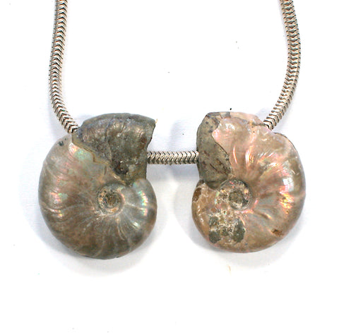 DVH Fossil Iridescent Ammonite Matched Pair Focal Beads 23x18x7 (3775)