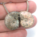 DVH Fossil Iridescent Ammonite Matched Pair Focal Beads 23x18x7 (3775)