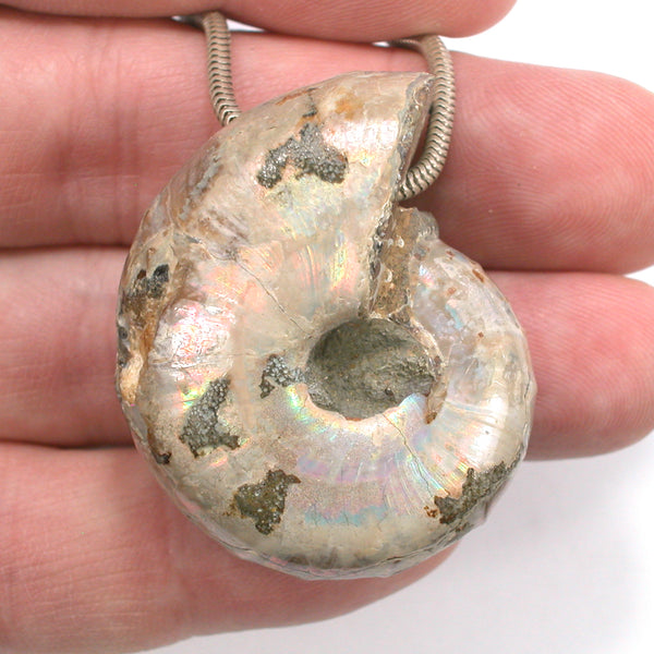 DVH Fossil Iridescent Ammonite Ammolite Focal Bead 44x33x20