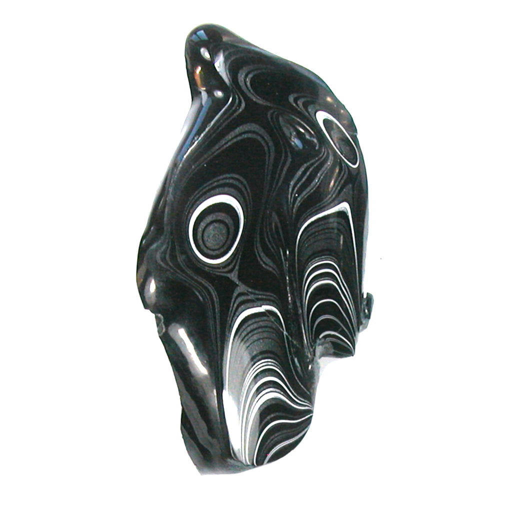 DVH Black Fordite Crown of Silver Sheen Polished Specimen Rough (4684)