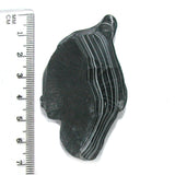DVH Black Fordite Crown of Silver Sheen Polished Specimen Rough (4684)