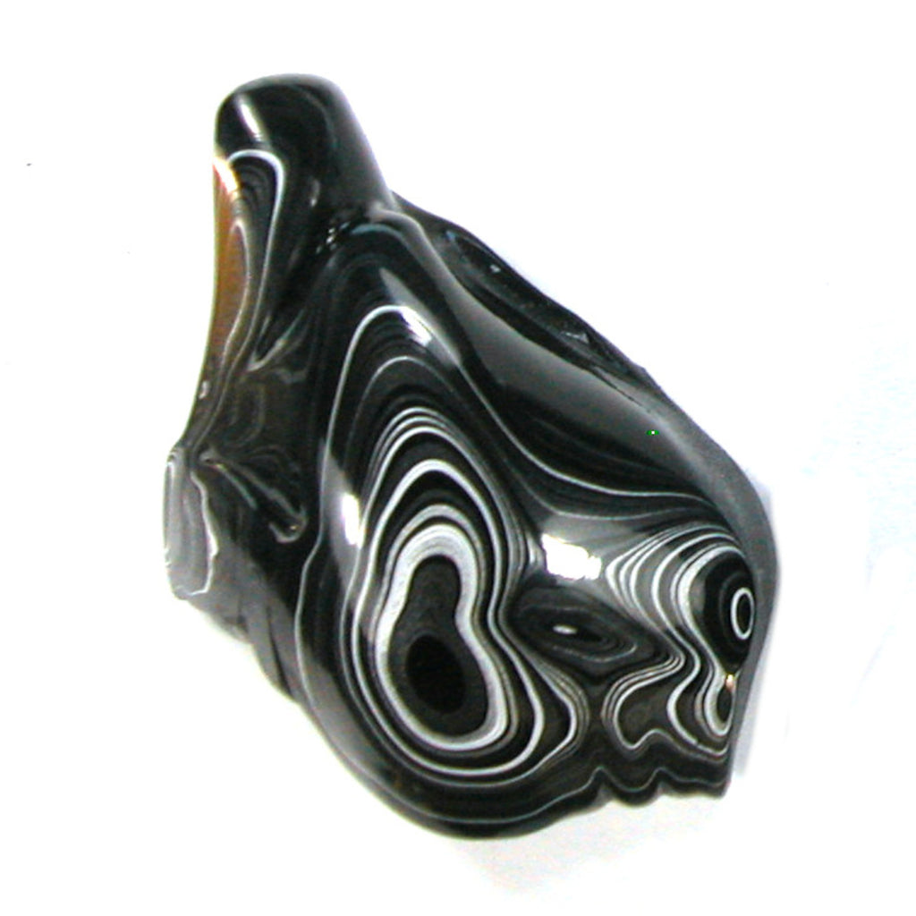DVH Black Fordite Crown of Silver Sheen Polished Specimen Rough (4686)