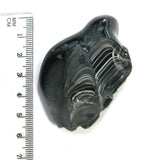 DVH Black Fordite Crown of Silver Sheen Polished Specimen Rough (4688)