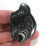 DVH Black Fordite Crown of Silver Sheen Polished Specimen Rough (4688)