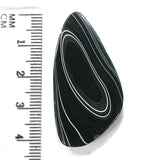 DVH Black Onyx Fordite Crown of Silver Sheen Cabochon 42x21x6 (4698)