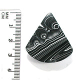 DVH JpWrnglr Black Onyx Fordite Crown of Silver Sheen Cabochon 33x30x6 (4749)
