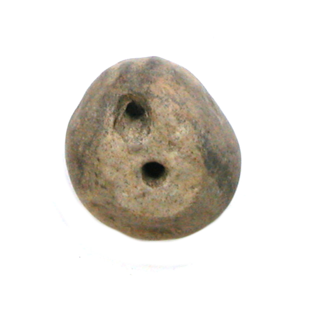DVH Fairy Hag Stone Concretion Fossil Grass Hole Goddess Quebec 29x27x17 (4336)
