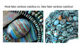 LECTURE RECORDING:  Fabulous Fakes:  The History of Gemstone Simulants and Synthetics Tuesday March 22nd